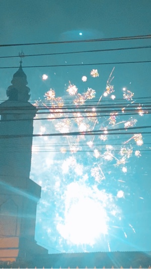 Cover Picture