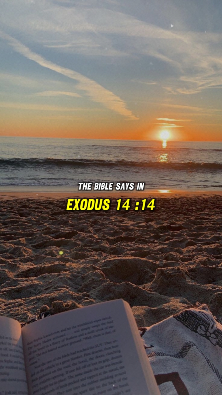 Çıkış 14: 14