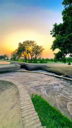 Trending Reel |