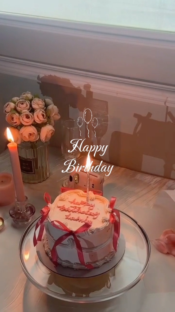 vlog d'anniversaire