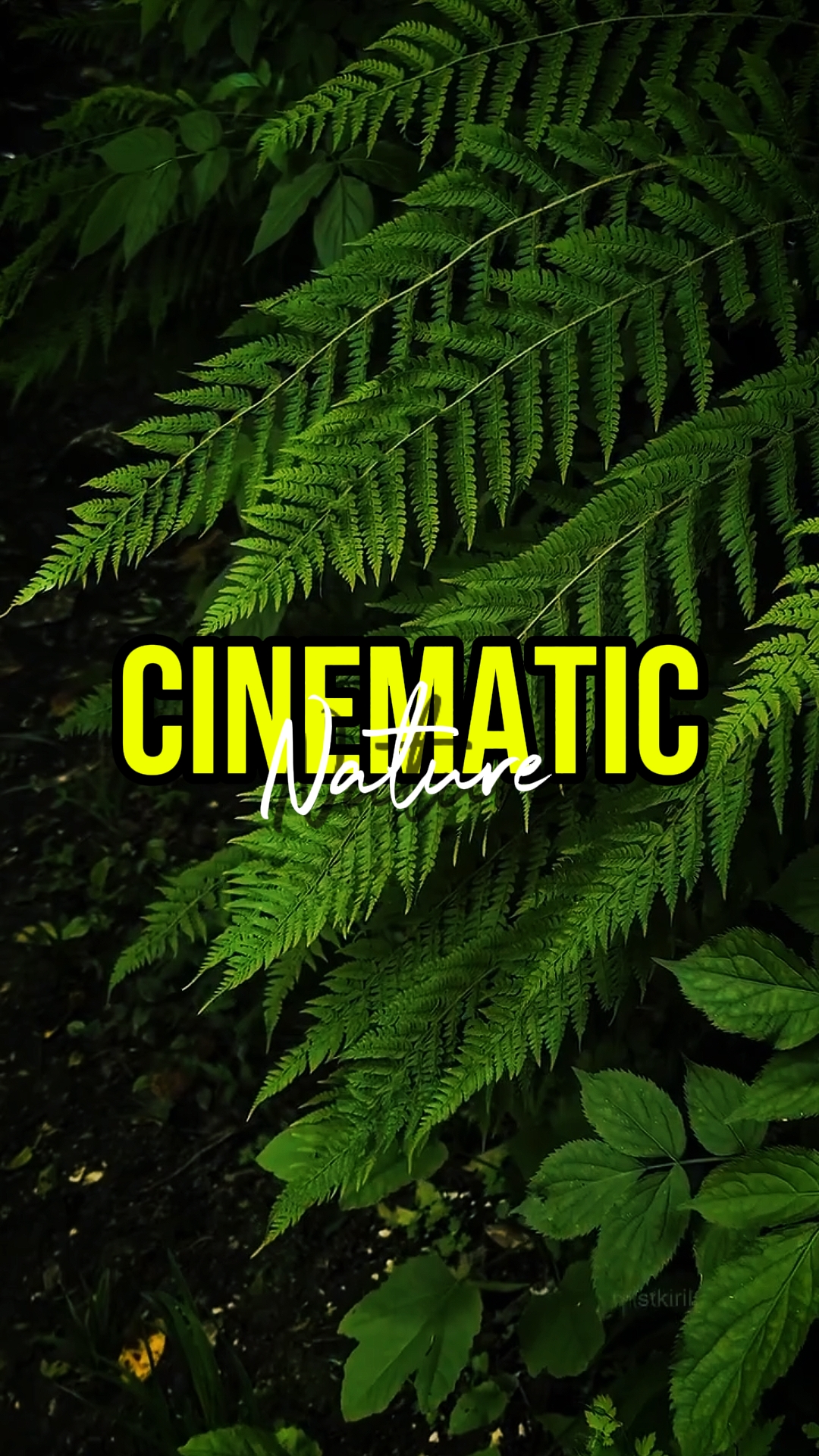 NATURALEZA CINEMÁTICA