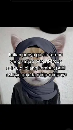 Assalamualaikum 