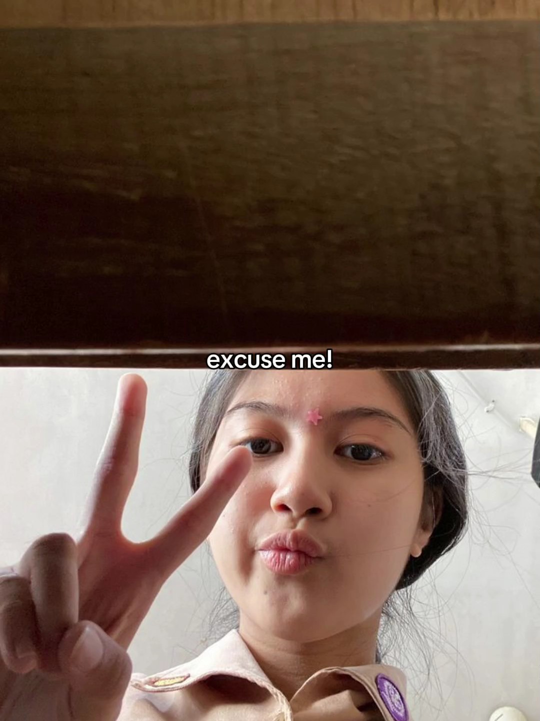 excusez-moi de vous avoir