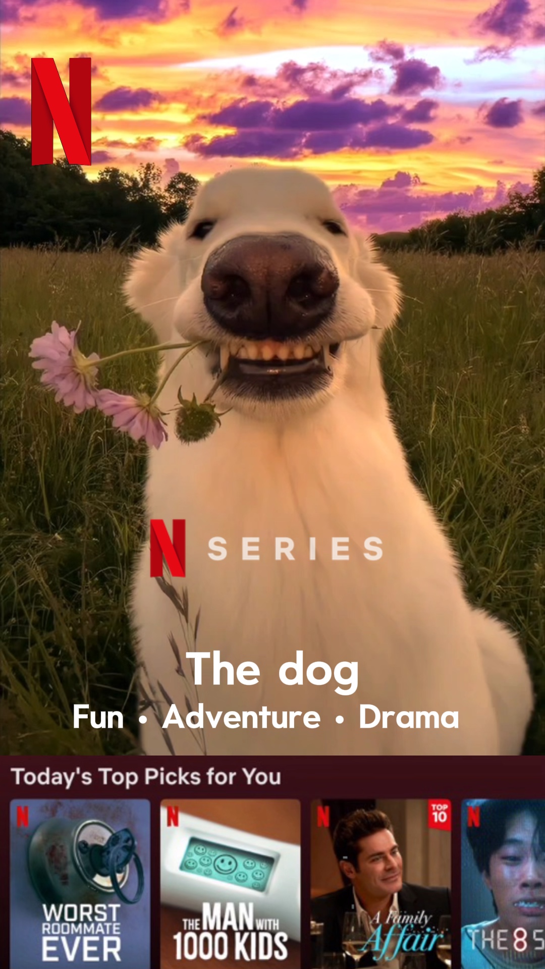 Poster Netflix 