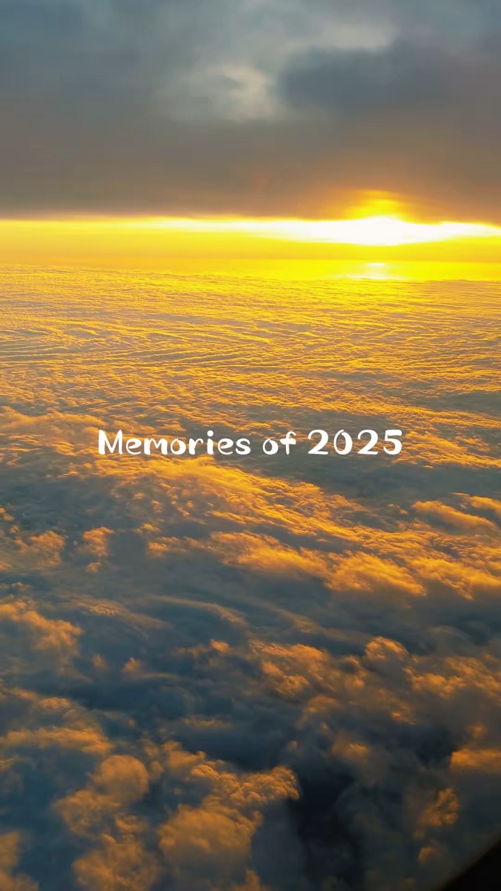 Memórias de 2025 ✨