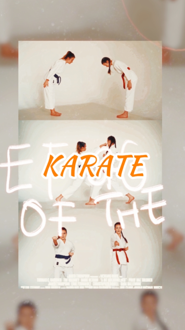 Karate Vlog