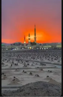 Nice video 