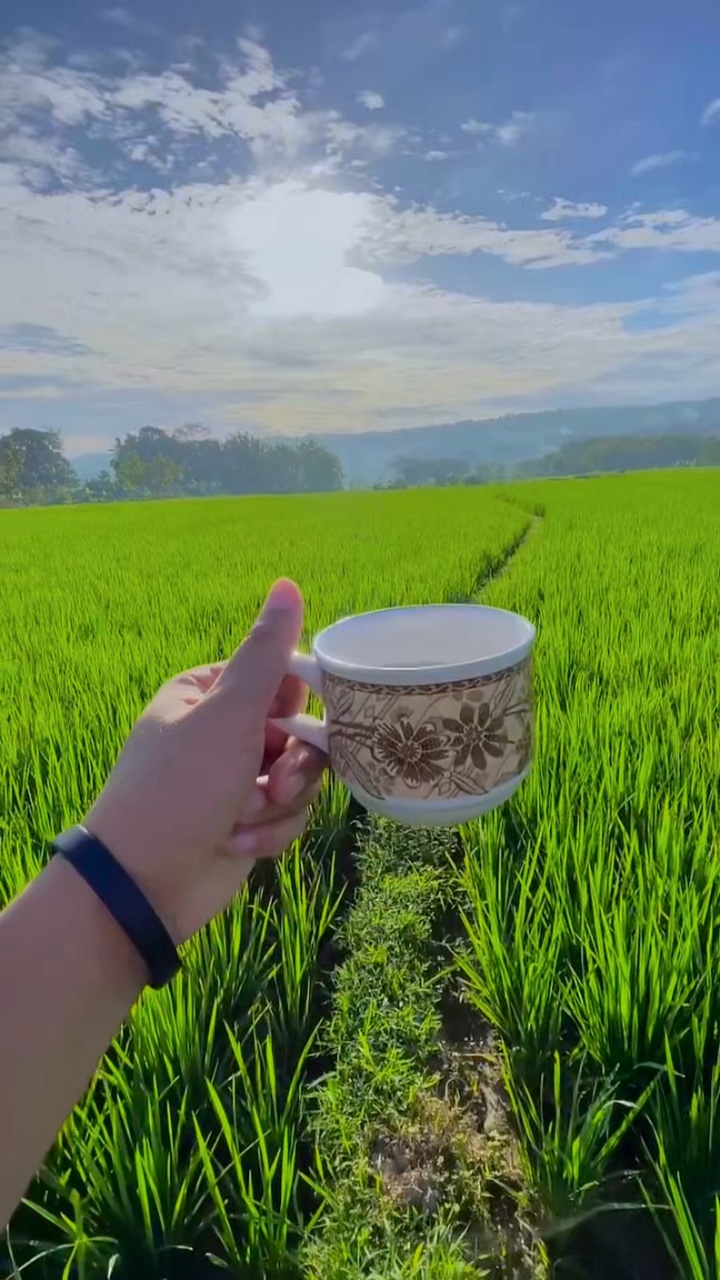 3 klip video cerah