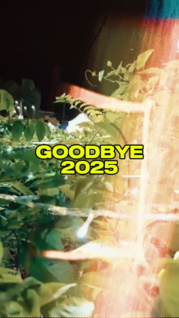 End Credits: 2025