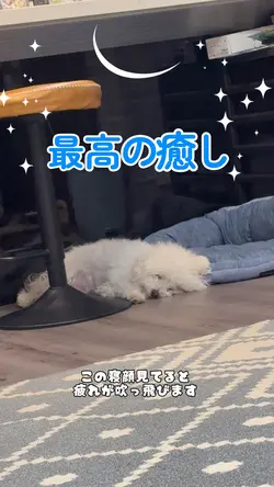 疲れが吹っ飛びます!