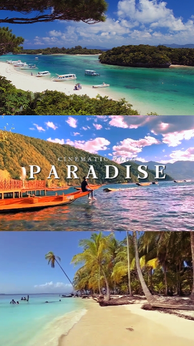 Paradise 