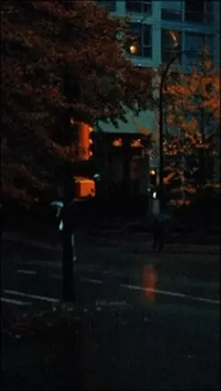 Şoxu şenge