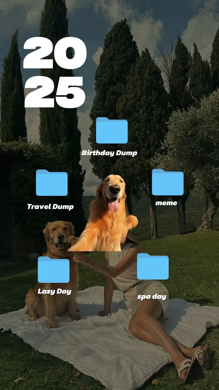 2025 resumen de perros