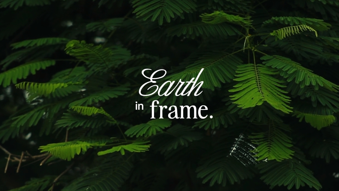 earth in frame