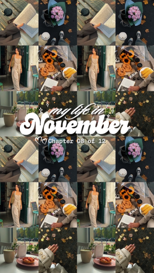 MY LIFE IN NOVEMBER