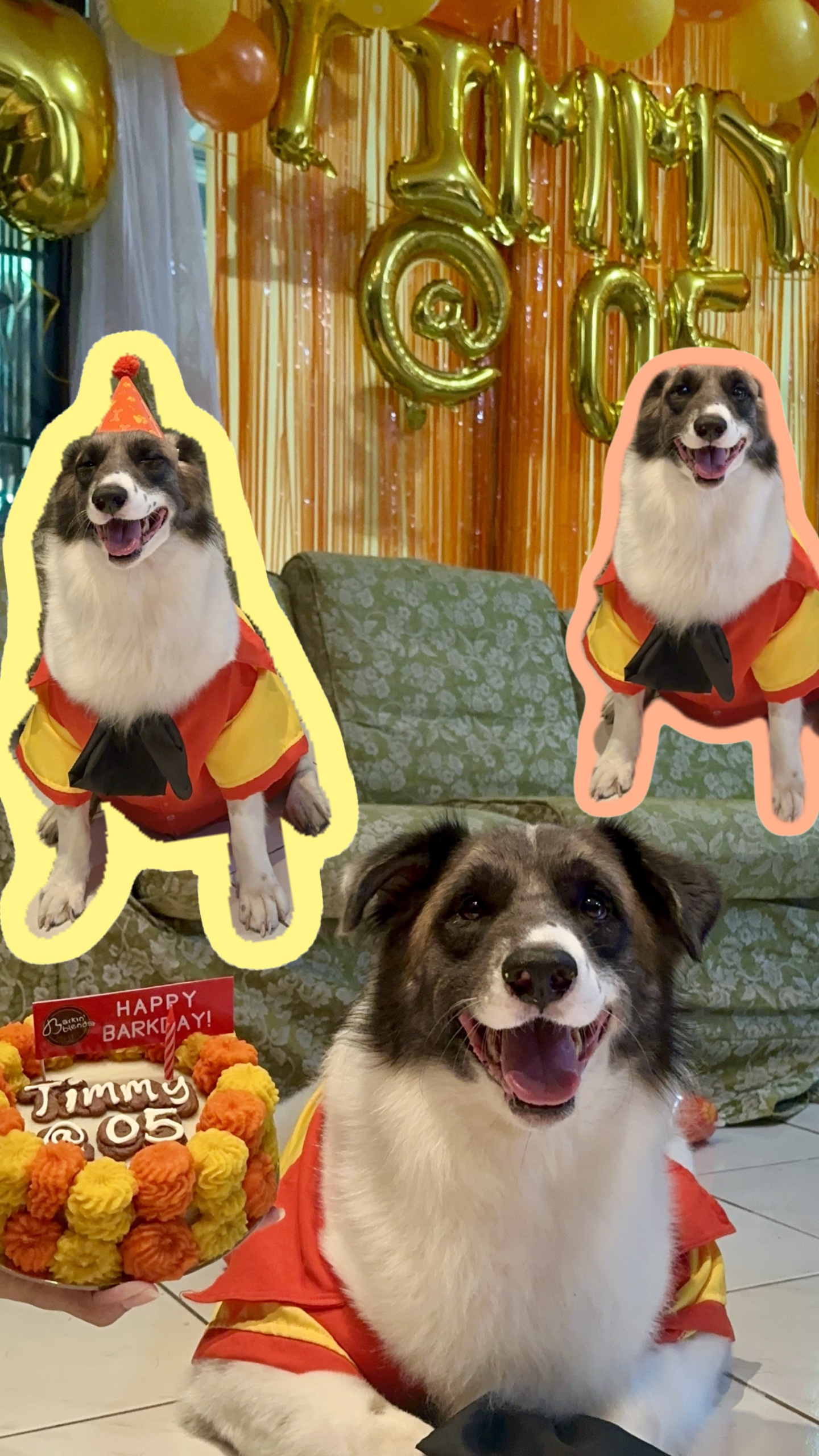 Feliz Barkday