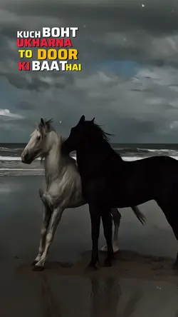 Dialogue Temp Slowmo