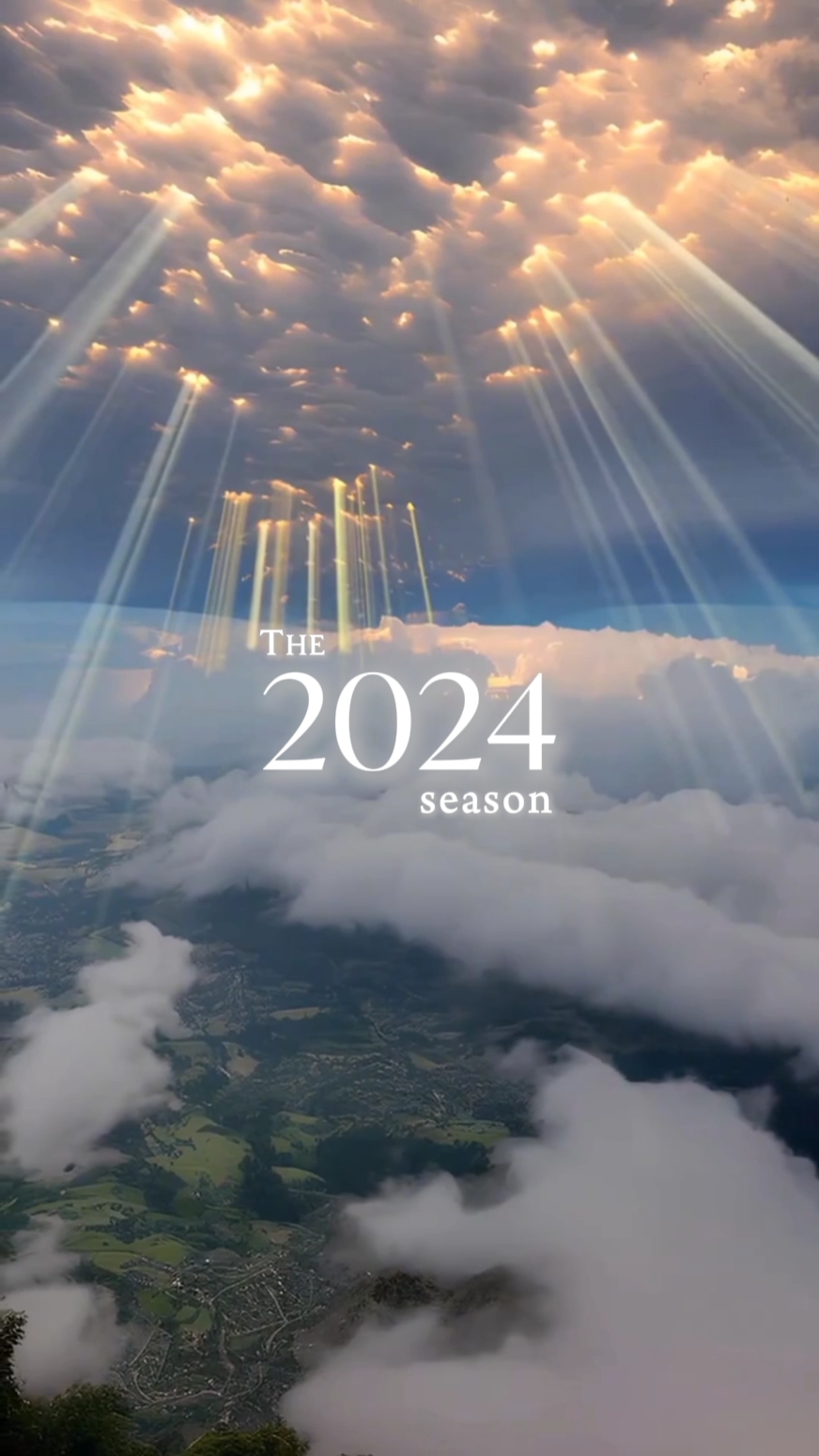 再见2024
