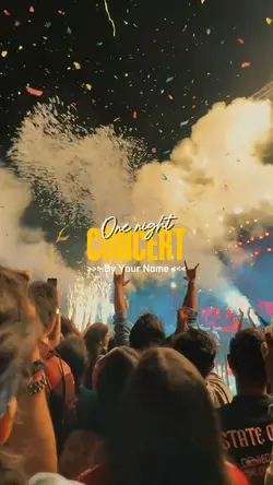 one night concert