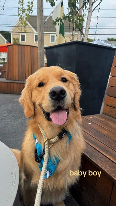 Menino 