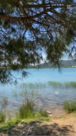 Deniz