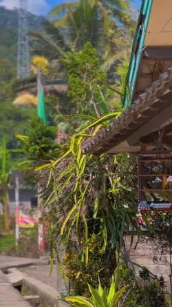 Cinematik healing ji