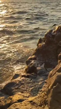 Le forme dell'amore