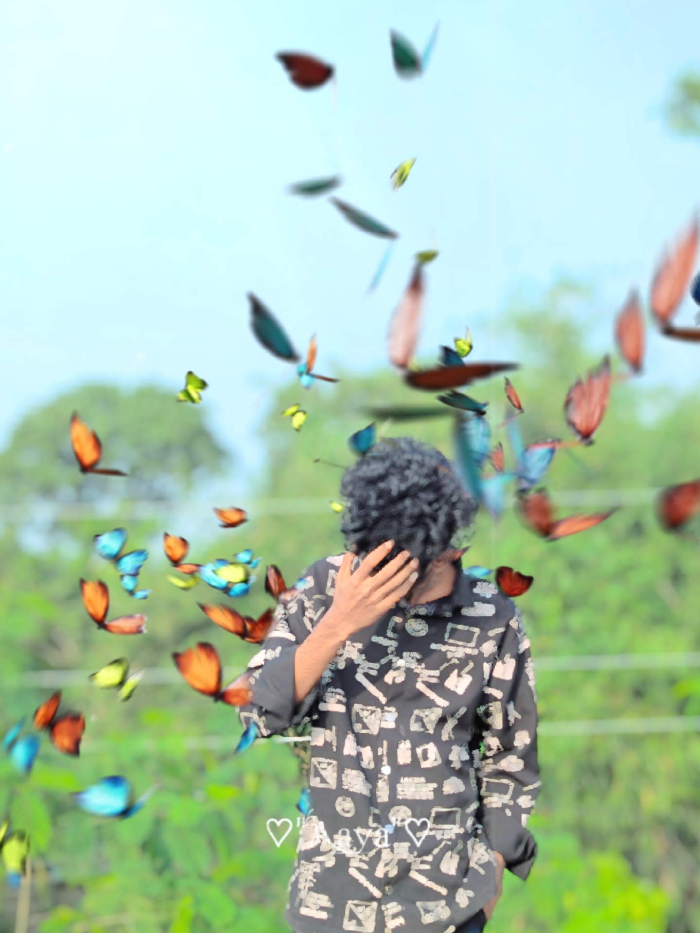 Cover Picture