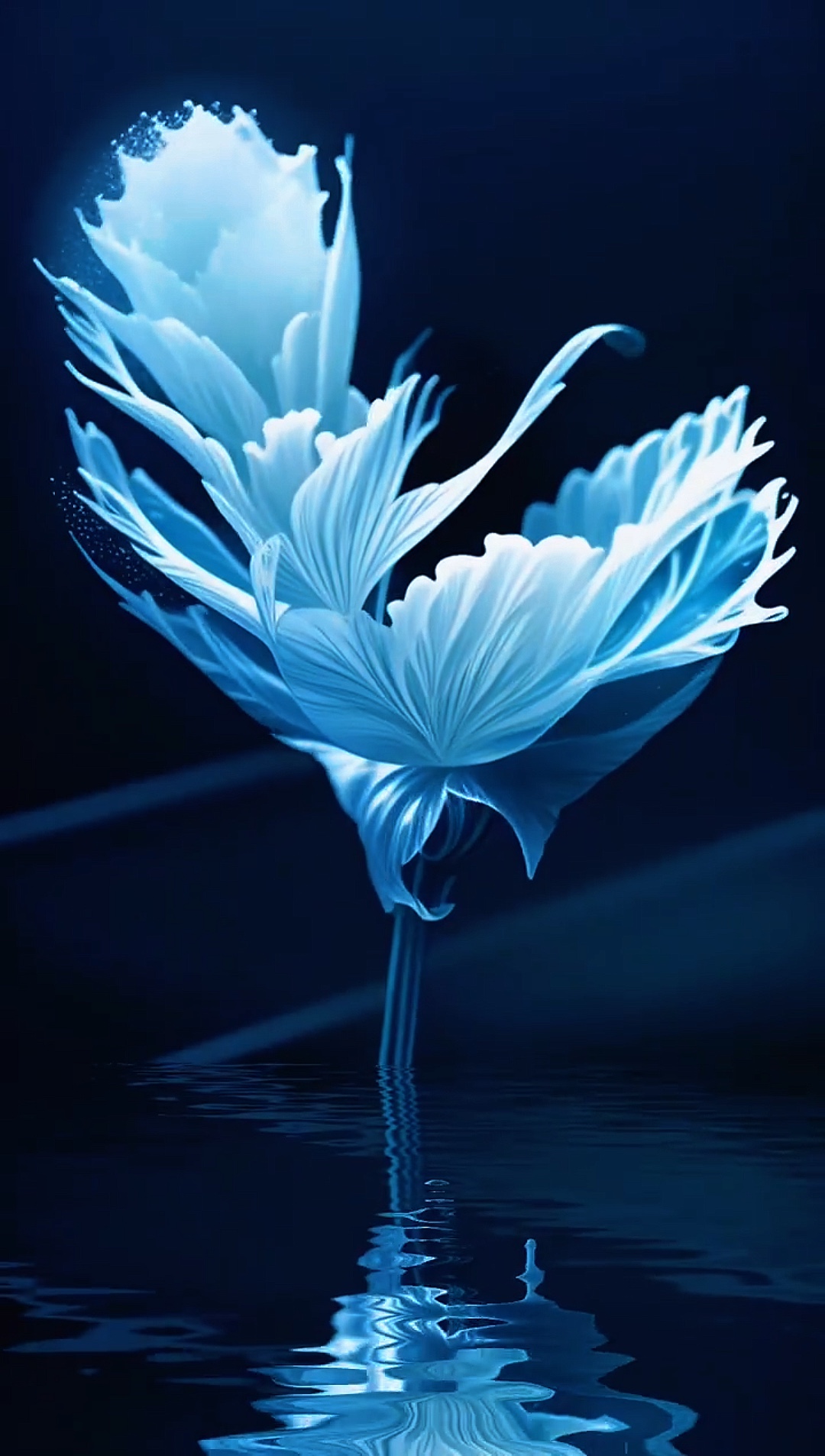 Baile De Flores