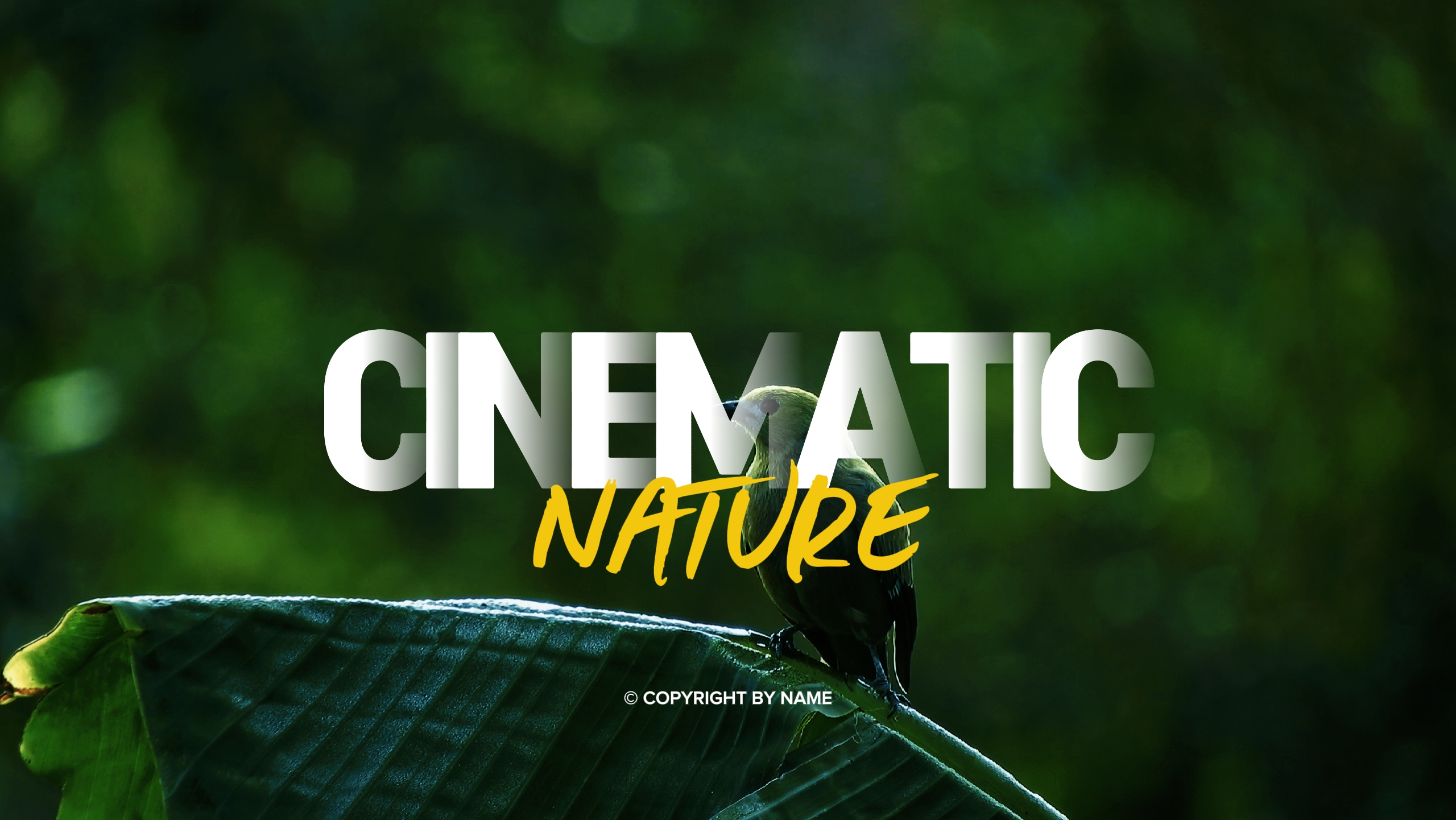 CINEMATIC NATURE