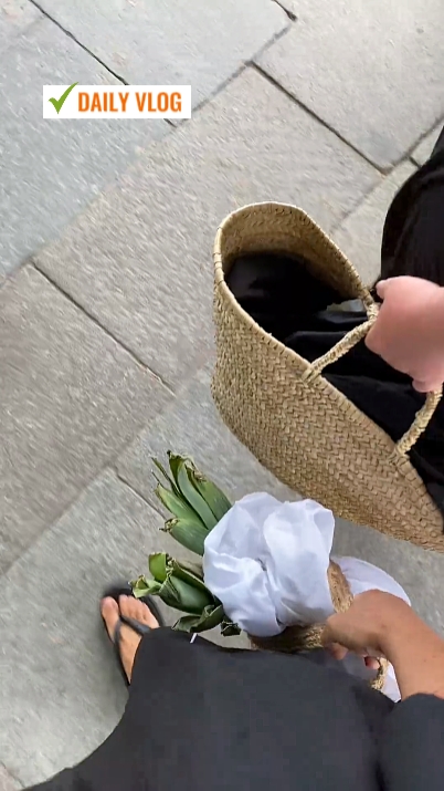 Vlog diário 