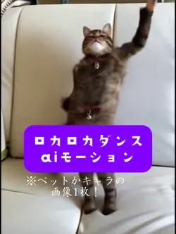 ロカロカダンスaiモーションテンプレ