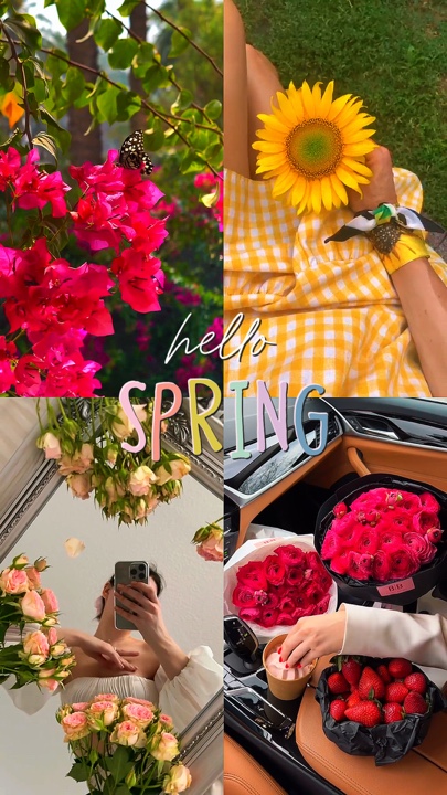 Primavera de HaEllo