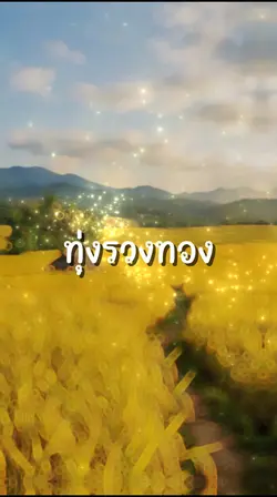 ทุ่งรวงทอง