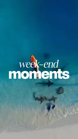 weekend moment