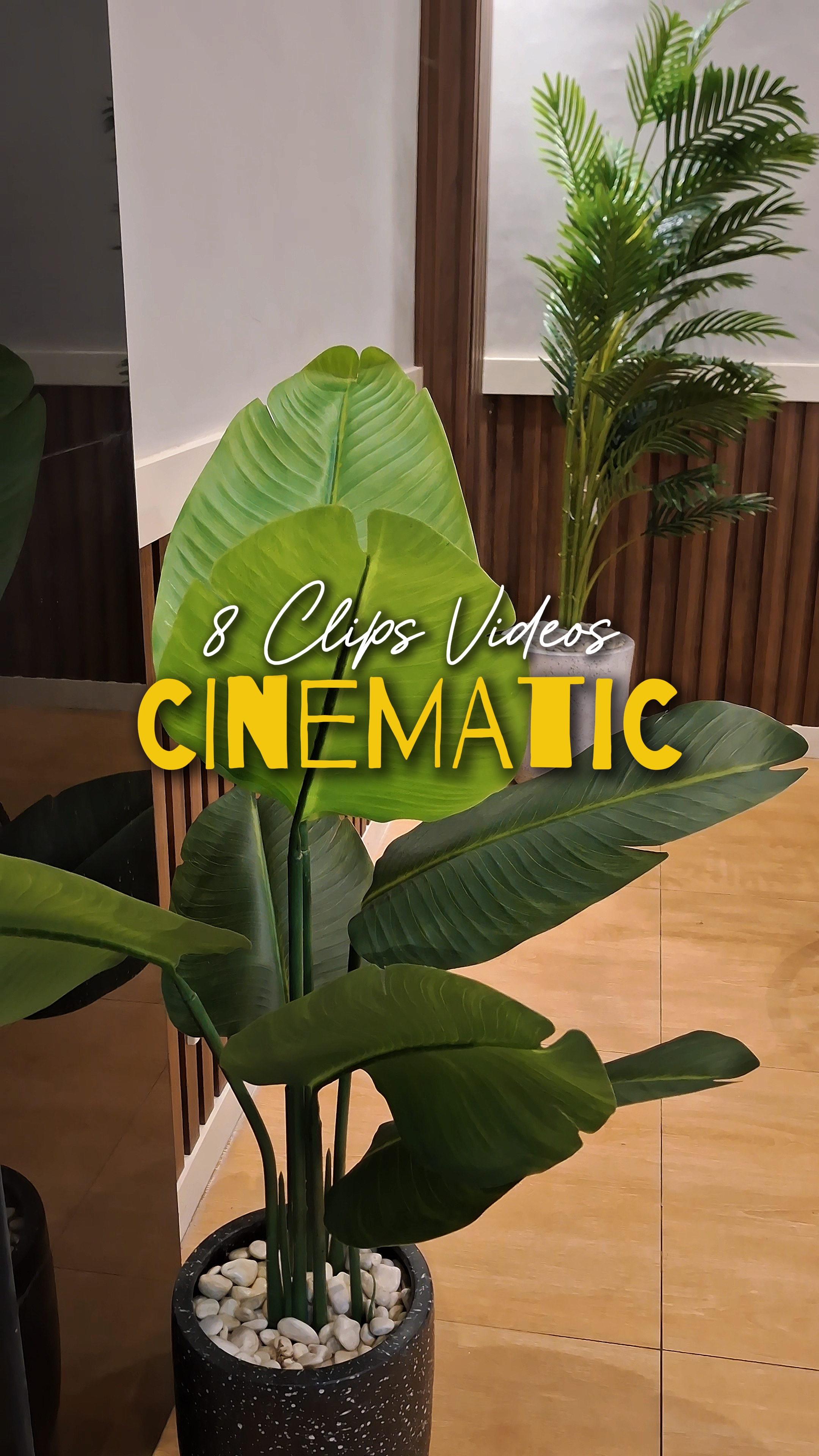 Cinematic 8 Vídeos