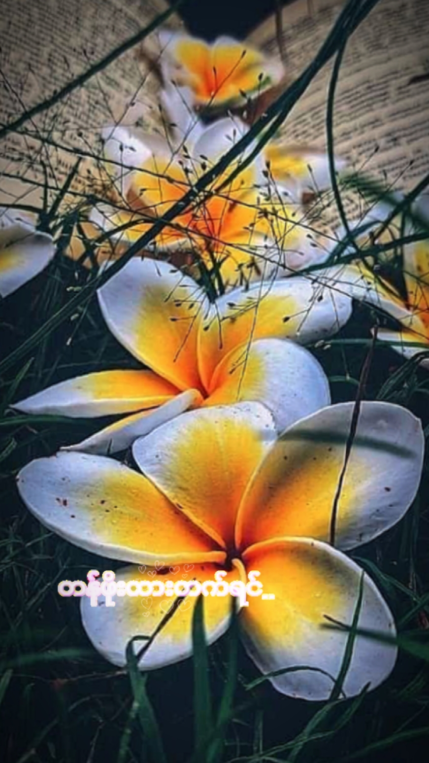 တန်ဖိုးထားတက်ရင်