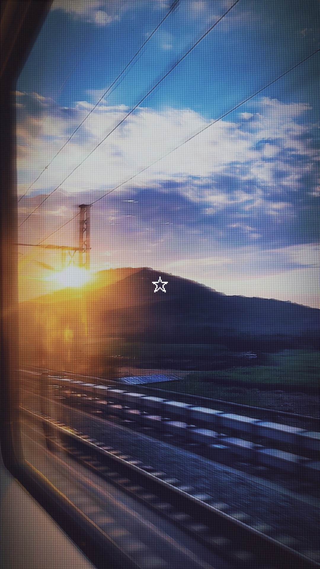 コウを追いかけて