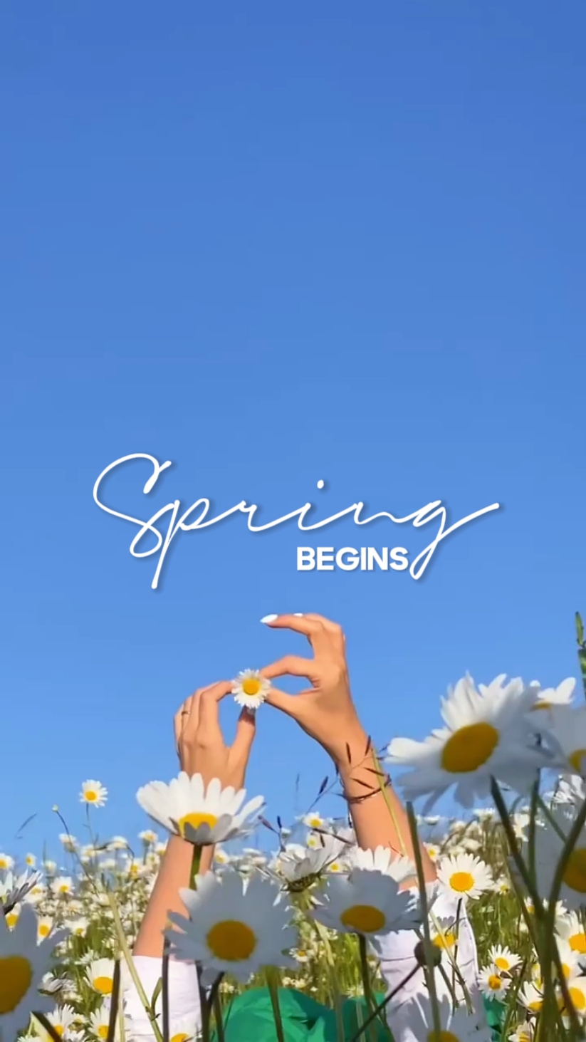 Der Frühling beginnt