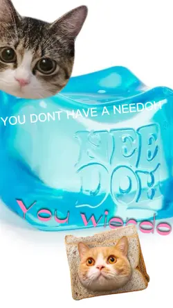 NEEDOH wierdo