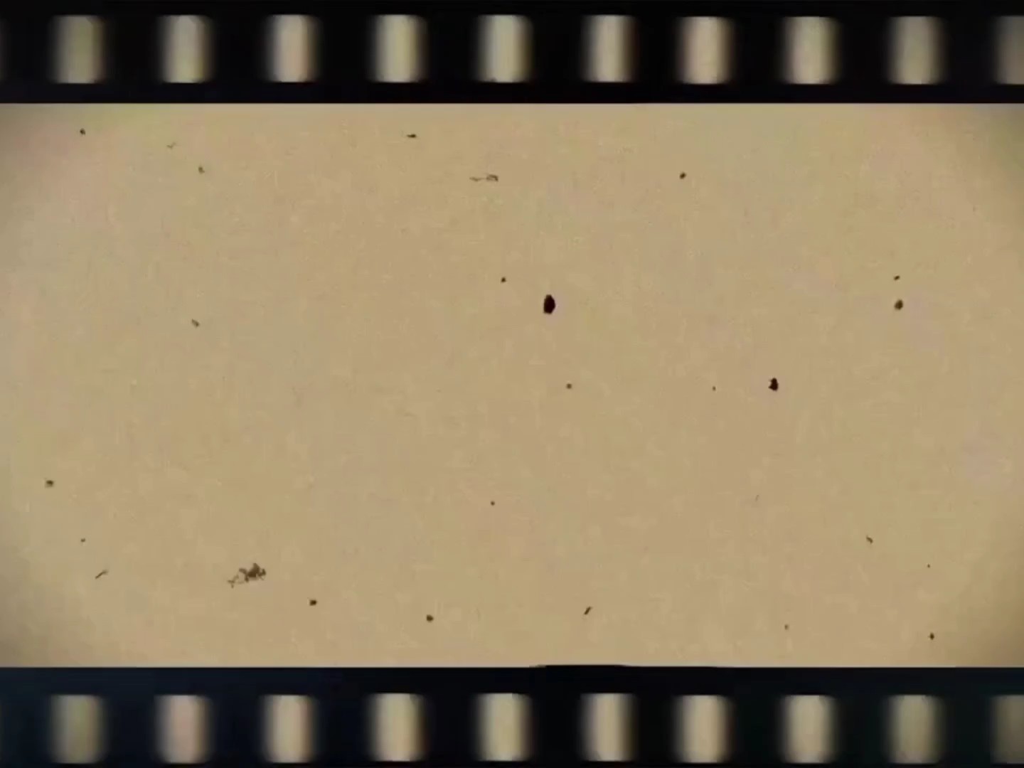 Cinematic Film