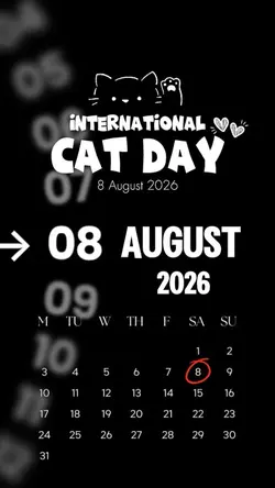 International CatDay