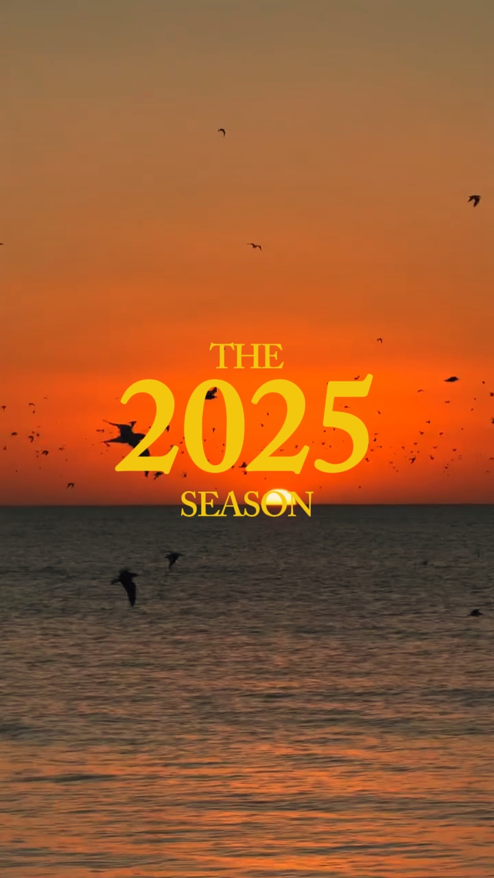 Zusammenfassung der Saison 2025