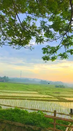 Layung luhur mega
