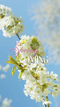 Spring is coming