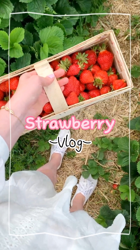 Çilek Vlog 'u