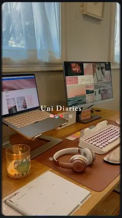 Uni Diaries 