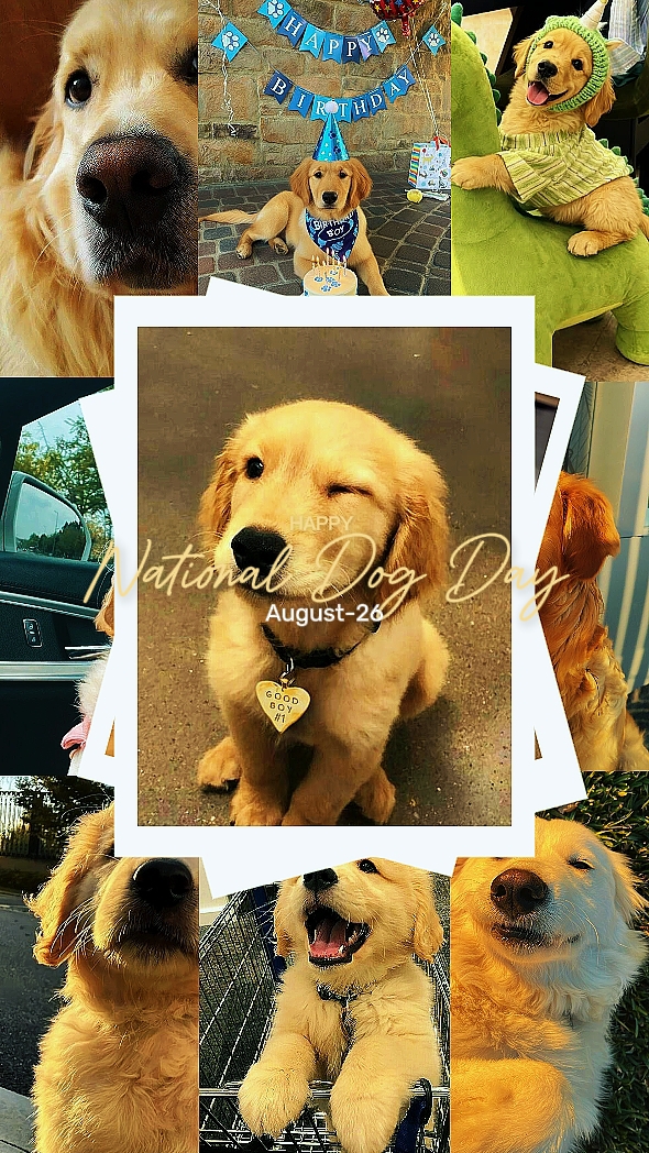 HAPPY DOG DAY
