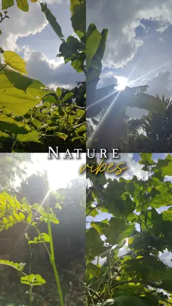 natura vibes 