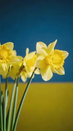 Local Florist Promo — Fresh & Bright